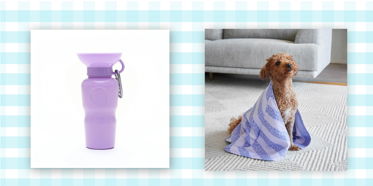 Oprah's Favorite Things Has the Best Pet Gift Ideas This Year